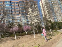 -石榴庄公园
