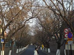 -青岛第二海水浴场