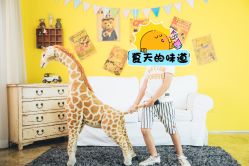 -WPlus明星肖像亲子全家福摄影