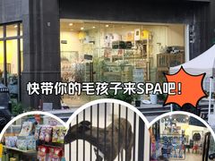 -狗不理喵子(百富路店)