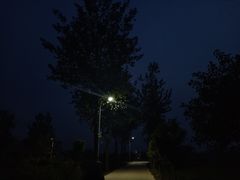 -九毛九西北菜(大东海店)