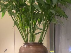 -西湖春天•老字号杭州菜(百汇店)