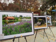 -成都濑川外国语学校