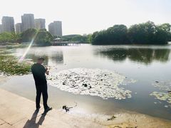 -新江湾城公园