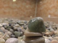 -兴芮温泉度假区