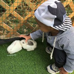 -萌宠亲子动物乐园(槐房万达店)