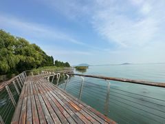 -苏州太湖国家湿地公园
