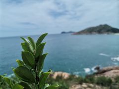 -广东惠东海龟国家级自然保护区