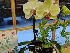 -佛有缘素食馆·荔湾老字号(陈家祠首店)