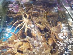 -蟹之国·精品蟹料理(极地店)