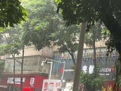 -阿群甘草水果