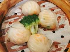 -新兴·金羊座·粤菜点心(乐峰店)