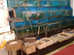 -高记广州大排档(关平路店)