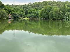 -中国科学院华南植物园