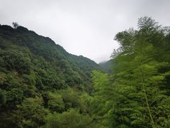 -水墨汀溪风景区