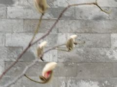 -东华门大街小区