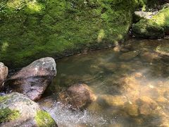 -牛背梁国家森林公园