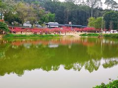 -南国桃园旅游度假区