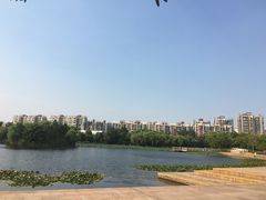 -新江湾城公园