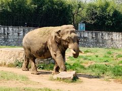 -西安秦岭野生动物园