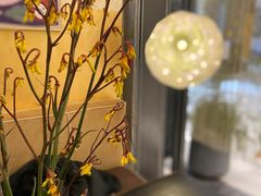 -PlantsEatery·植物食堂(REX春熙店)
