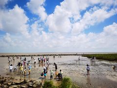 -南汇嘴观海公园