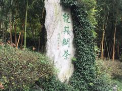 -十八棵（老龙井）御茶园(老龙井店)