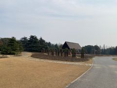 -上海滨江森林公园