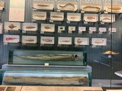 -浙江自然博物院(杭州馆)