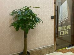 -宁波壹加壹口腔·矫正种植中心