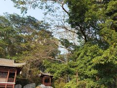 -深圳国际园林花卉博览园