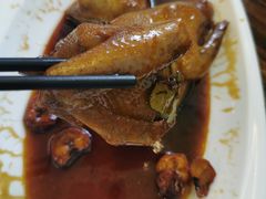 -旺金鸽(穗盐路总店)