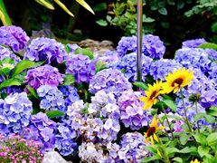 -人民公园(罗湖区)