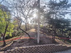 -元大都城垣遗址公园