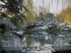 -趵突泉景区