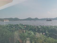 -湖畔居茶楼(湖滨店)