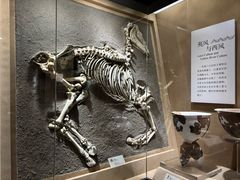 -烟台市博物馆