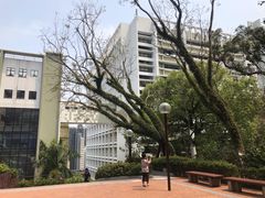 -香港大学