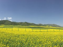 -扁都口生态休闲旅游区