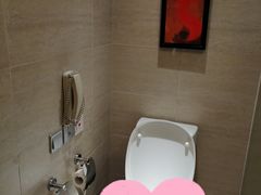 -上海浦东绿地铂骊酒店