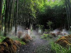 -望江楼公园