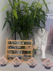 -AI艾耳·专业手工耳洞·穿孔美学馆