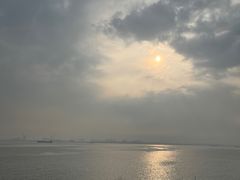 -海鸥岛