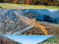 -四明山国家森林公园