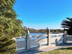 -八大山人梅湖景区