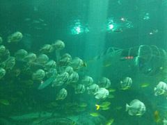 -福州罗源湾海洋世界旅游区