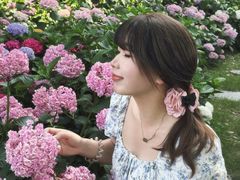 -嘉北郊野公园