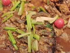 -老板恋上鱼(印象城店)