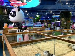-龟与熊猫宠物公园(南坪店)