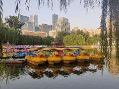 -团结湖公园